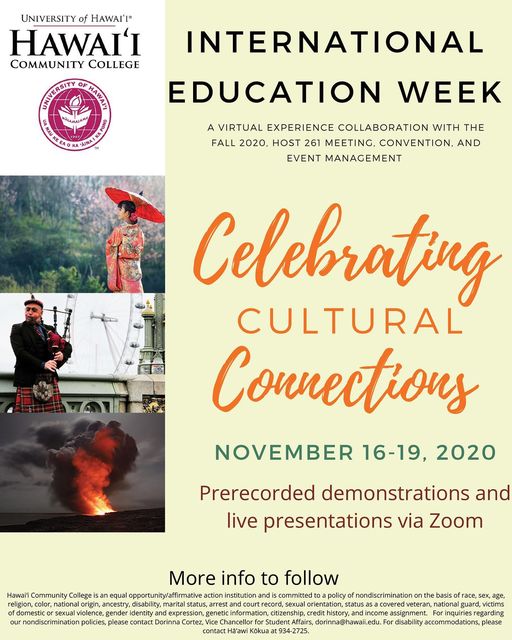 IEW flyer