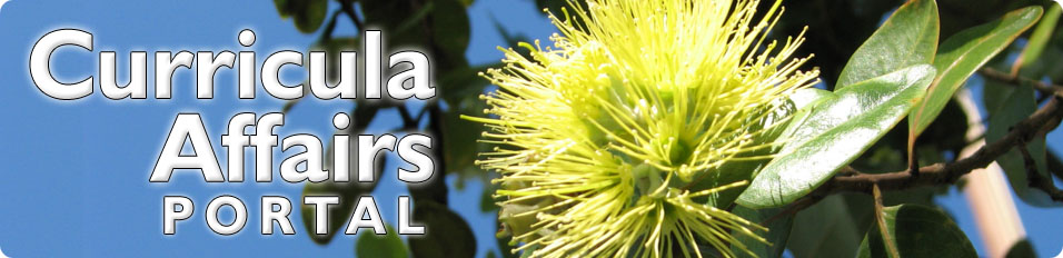 decorative image header
