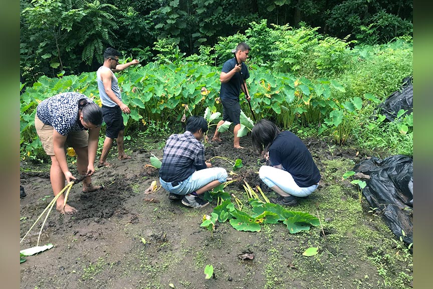 Group photo of students working