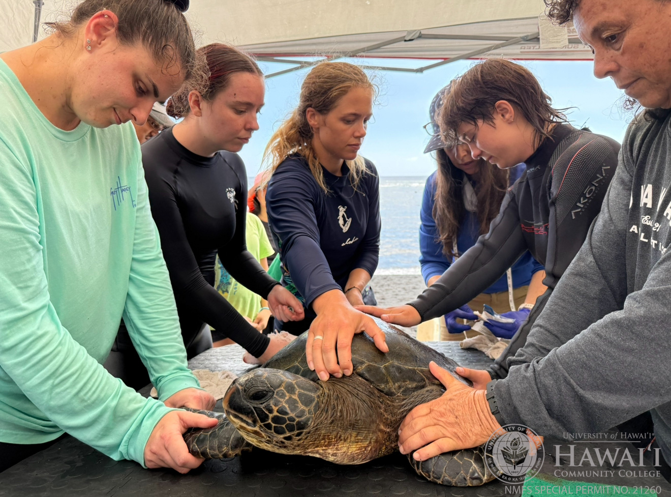 MOP offers students early exposure to marine science through internships, personal research projects, and more.