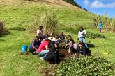 Group photo of students working
