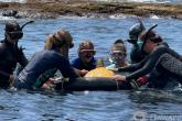 MOP strives to offer marine science opportunities to our local communities to educate the next generation of stewards in ocean science.