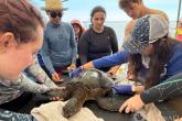 Students from all majors can tailor MOP to their interests, whether it’s traditional marine biology or Hawaiian culture.