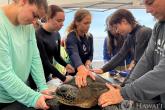 MOP offers students early exposure to marine science through internships, personal research projects, and more.