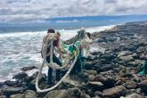marine debris removal