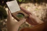 A TEAM student uses a densiometer (a handheld convex mirror) to measure the canopy cover. Traditional skills such as compass navigation and plant identification, along with the integration of Hawaiian cultural knowledge into forest management, are important skills taught in the TEAM program.